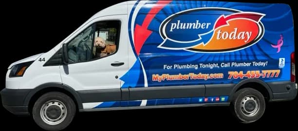 Plumber Today branded service van with the company dog in the window